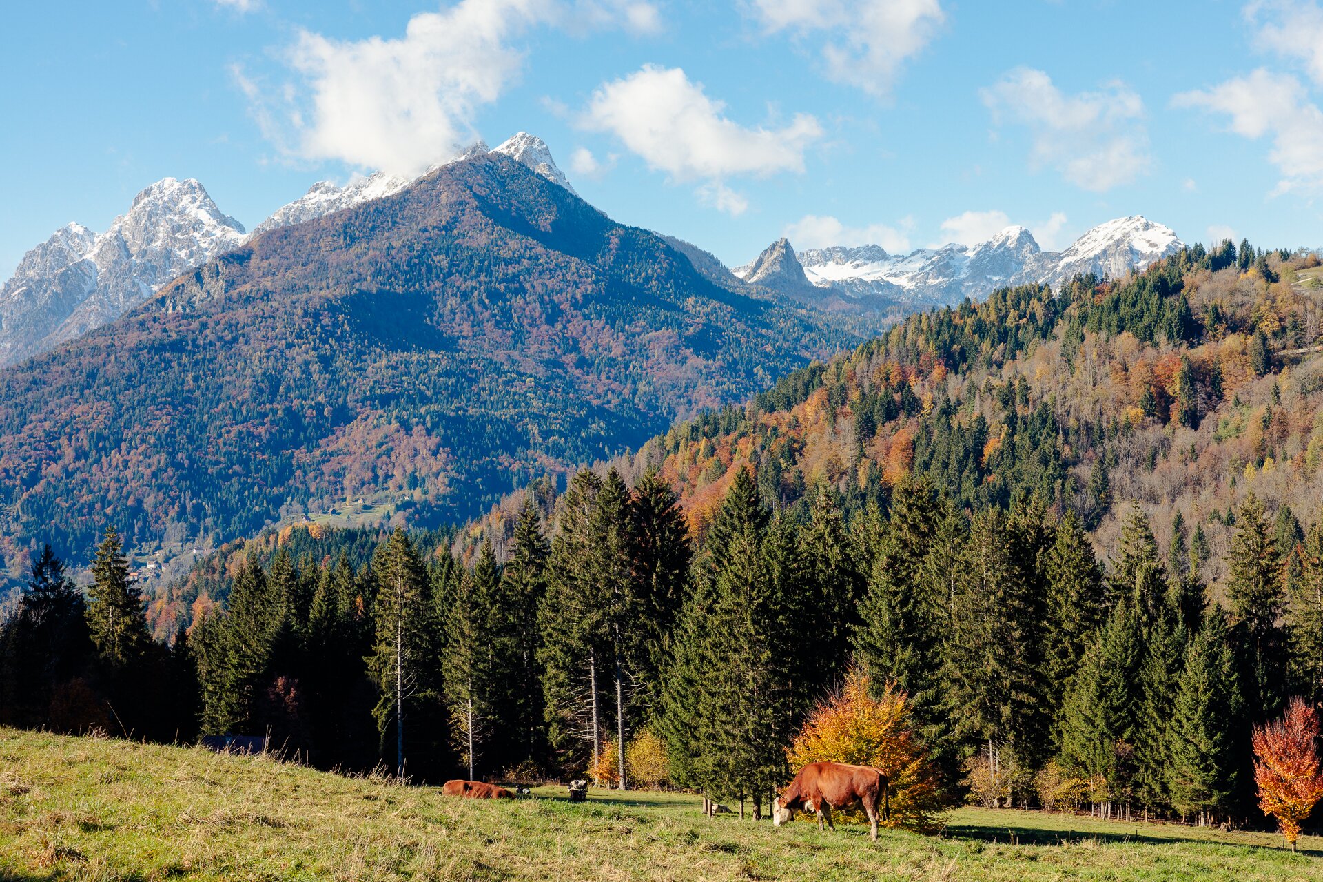 Autunno 1